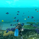 Image for article titled Endless Ocean: Blue World Gameplay Is All Wet